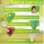 Танцюючий кактус співаючий 120 пісень з підсвічуванням Dancing Cactus TikTok іграшка Повторюшка кактус